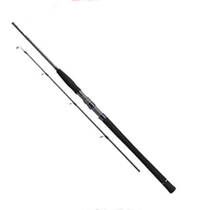 Спиннинг TailWalk Master Build Jigging S55H