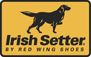 Irish setter