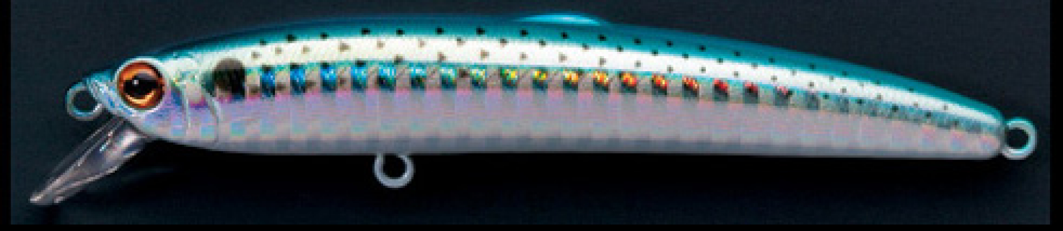 Saruna 80,95,110,125 F 31KSHL.jpg